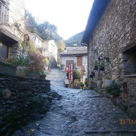 Guest house El Forn 2*